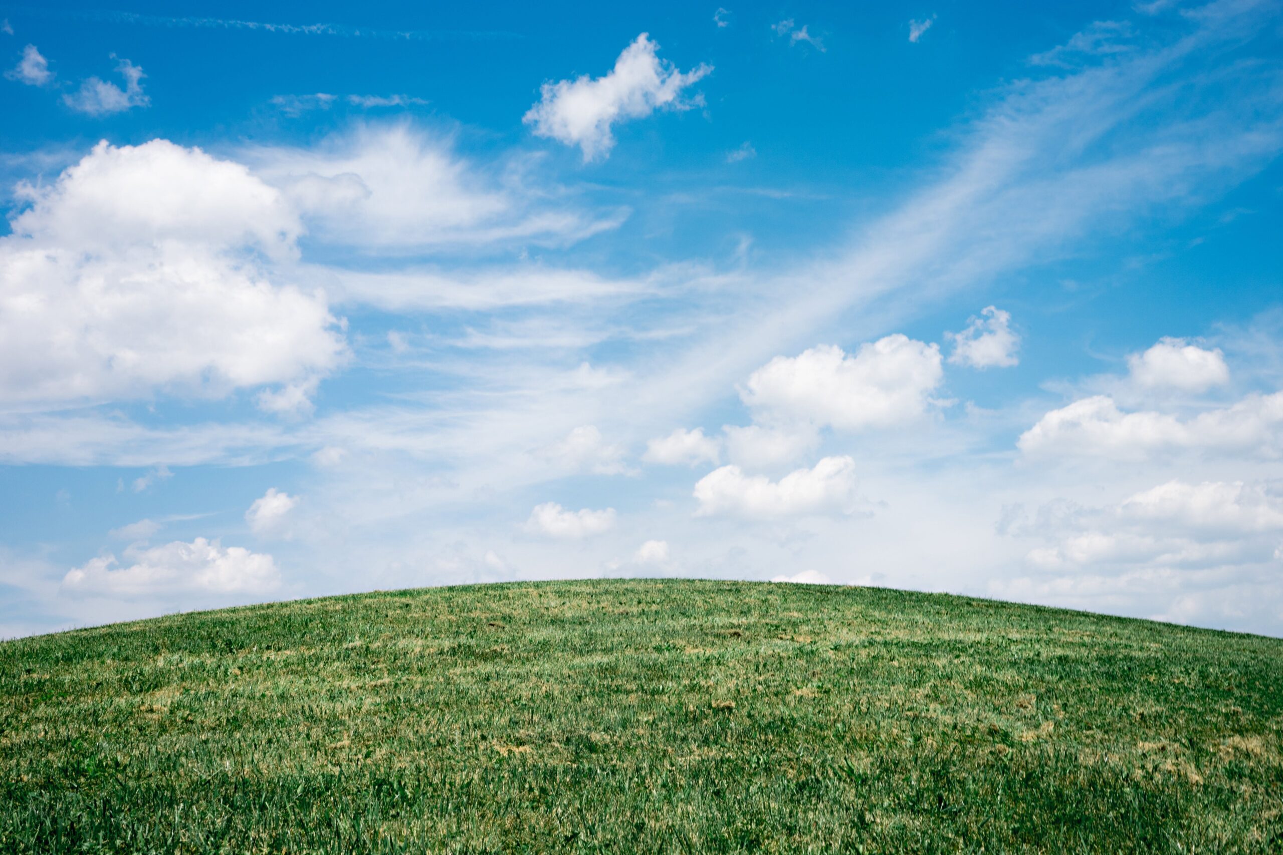 Green Landscaping